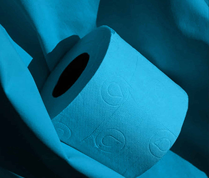 Basic Standard Roll Embossed Blue Toilet Paper