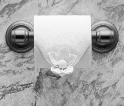 Toilet Paper Folding and Flourishes for Over The Top Hospitality